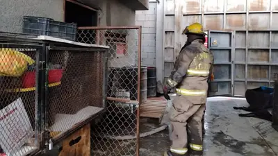 Tragedia en Torreón: incendio en albergue canino deja 13 perros sin vida