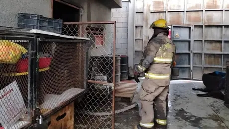 Tragedia en Torreón: incendio en albergue canino deja 13 perros sin vida