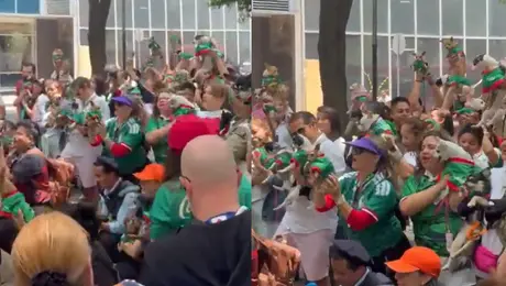 Perros chihuahua con la camiseta del Tri sorprenden frente a Embajada Británica en CDMX