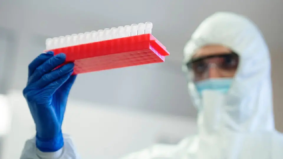El Congo enfrenta una de las peores crisis sanitarias de su historia debido al avance del ébola / Magnific