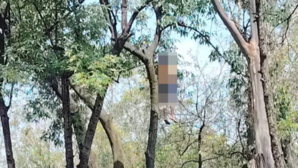 El hombre apareció sin vida colgado de un árbol. / X