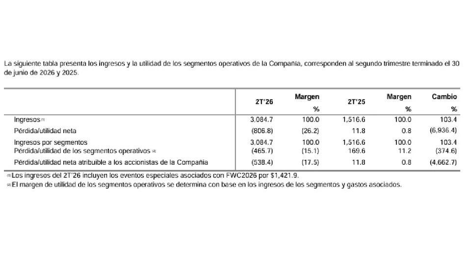 Reporte financiero de Grupo Ollamani | captura