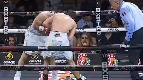 ¡Se robó el show! Mujer se vuelve viral por dar indicaciones a boxeador durante pelea