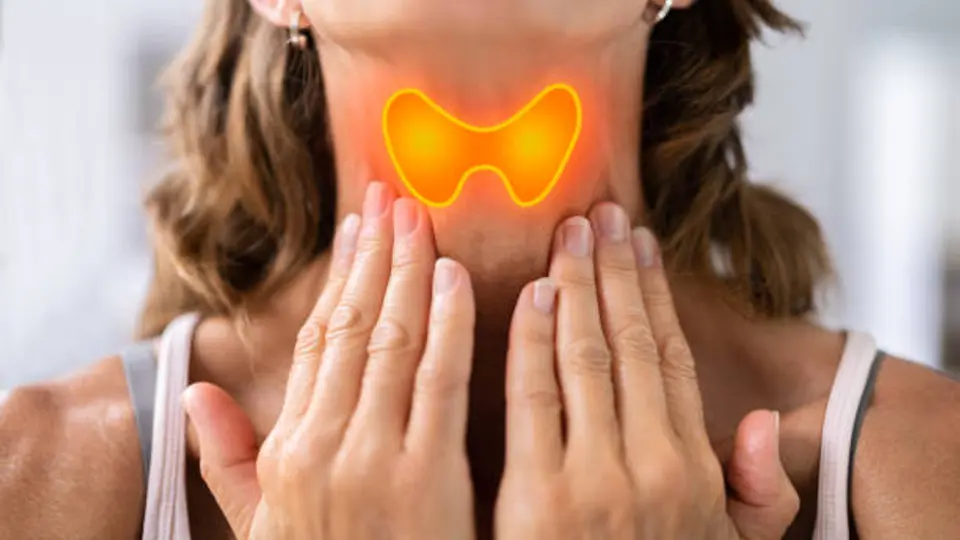 La tiroides regula funciones clave como el metabolismo y la energía del cuerpo. / iStock