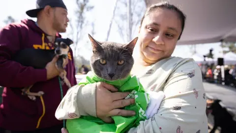 El objetivo es seguir ampliando estos lugares para la convivencia entre mascotas y sus dueños / FB: @ClaraBrugadaM