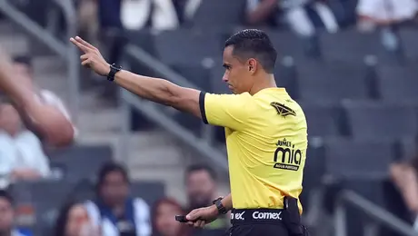 Visita inesperada: Árbitro del Monterrey vs San Luis estuvo con una mariposa gran parte del primer tiempo