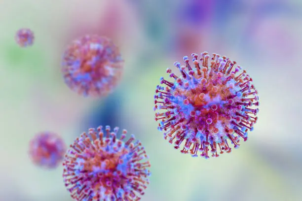 El hantavirus se transmite principalmente por contacto con roedores o sus desechos, advierten especialistas./ Pixabay