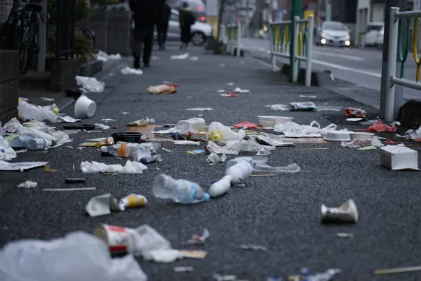 Las multas por tirar basura pueden alcanzar hasta 16 mil pesos en Torreón./ Pixabay