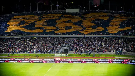 Si procede apelación, ¿cómo hará Pumas el reembolso de los boletos del partido contra América?