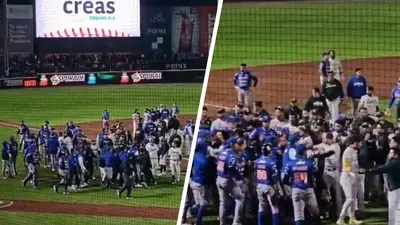 Pericos y Olmecas protagonizan batalla campal en los playoffs de la Liga Mexicana de Beisbol