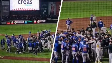 Pericos y Olmecas protagonizan batalla campal en los playoffs de la Liga Mexicana de Beisbol