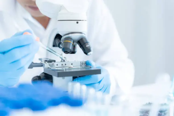 Las autoridades rusas activaron protocolos preventivos mientras continúan los análisis para identificar el origen de la infección./ Pixabay