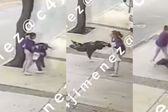 VIDEO: Mamá pierde el control y golpea a su hija de 11 años en plena calle