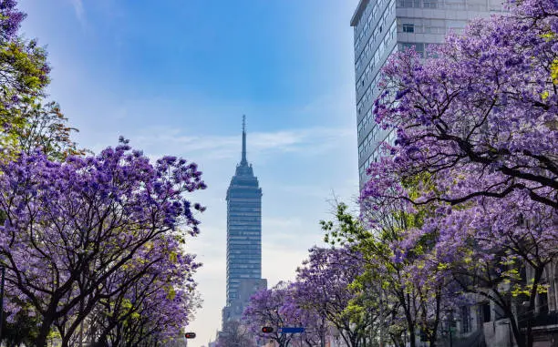 El evento será de entrada gratuita y se realizará del 14 al 22 de febrero./ Pixabay