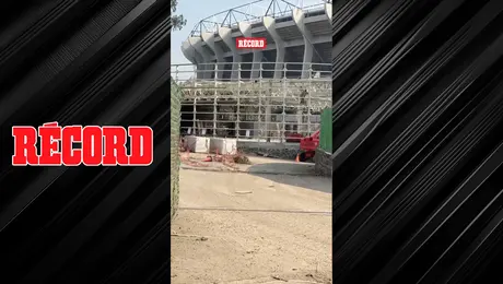 MANITA DE GATO AL AZTECA