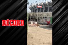 LE ESTÁN DANDO SU MANITA DE GATO