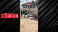 LE ESTÁN DANDO SU MANITA DE GATO