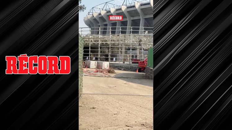 LE ESTÁN DANDO SU MANITA DE GATO