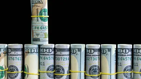 Es buen momento para comprar dólares o cambiar, según tus intereses / FREEPIK