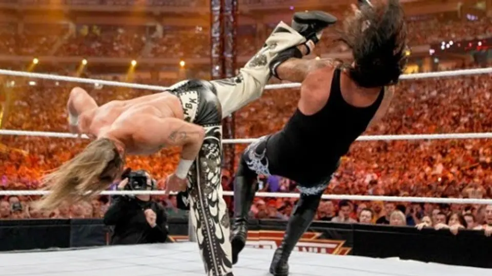 The Undertaker vs Shawn Michaels |@wrestling_jazz