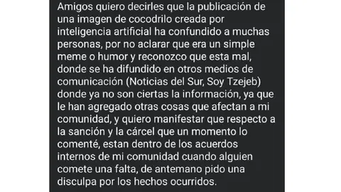 La sanción se aplicó bajo los usos y costumbres de la comunidad./ RS