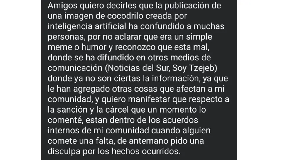 La sanción se aplicó bajo los usos y costumbres de la comunidad./ RS