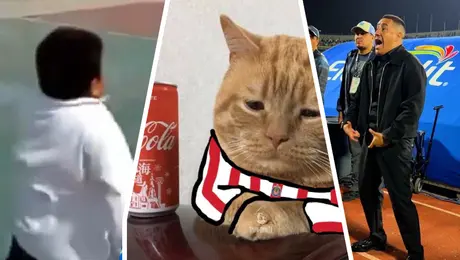 Los mejores memes del Chivas contra Pumas que dejaron KO a las redes