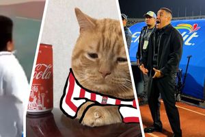 Los mejores memes del Chivas contra Pumas que dejaron KO a las redes