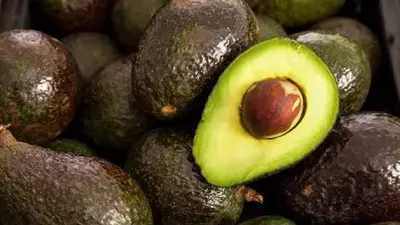 ¿Qué pasa con el aguacate mexicano? EE. UU. frena su exportación desde Michoacán