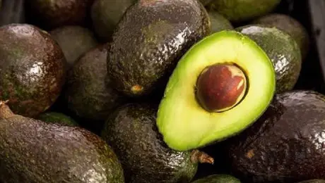 ¿Qué pasa con el aguacate mexicano? EE. UU. frena su exportación desde Michoacán