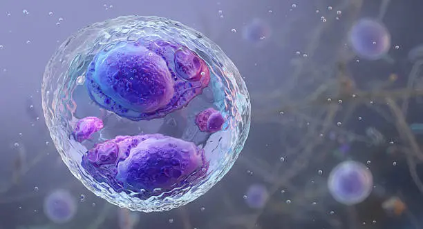 La ciclosporiasis es una infección parasitaria que puede adquirirse al consumir agua o alimentos contaminados, principalmente frutas y verduras sin una adecuada desinfección./ Pixabay
