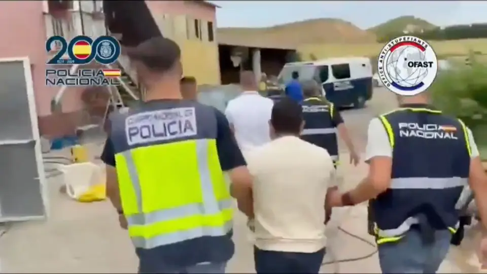 Se logró la captura de siete mexicanos, cuatro españoles y dos colombianos / Especial