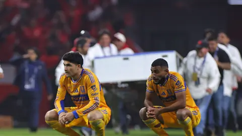 Nicolás Ibáñez con  Tigres en la Final ante Toluca | IMAGO7