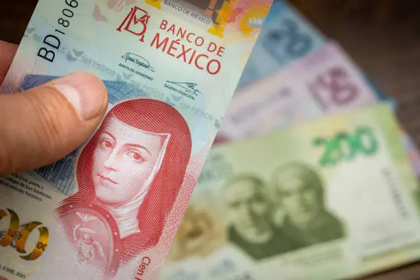 El Gobierno Federal busca fortalecer la permanencia de jóvenes en la universidad mediante apoyos económicos. / iStock