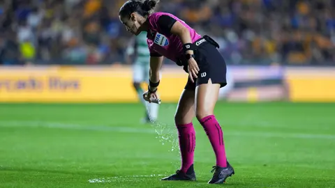 Katia Itzel García en el Tigres vs Santos Laguna l IMAGO7