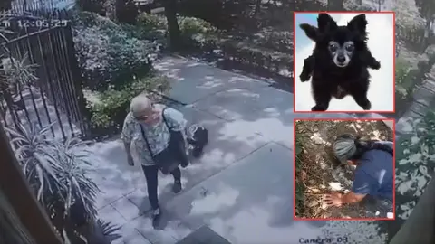 Los animales los enterraba en su jardín o macetas / Especial