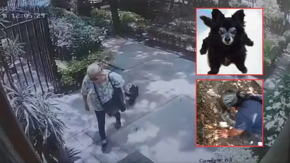 Los animales los enterraba en su jardín o macetas / Especial