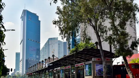 El Mundial atraerá a miles de visitantes internacionales que obligará a reforzar servicios de transporte / FB: @MetrobusCDMX