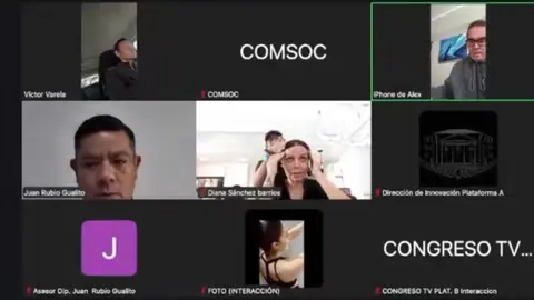 El video de la diputada conectada a una sesión del Congreso desde una estética llamó la atención de usuarios en redes. / X