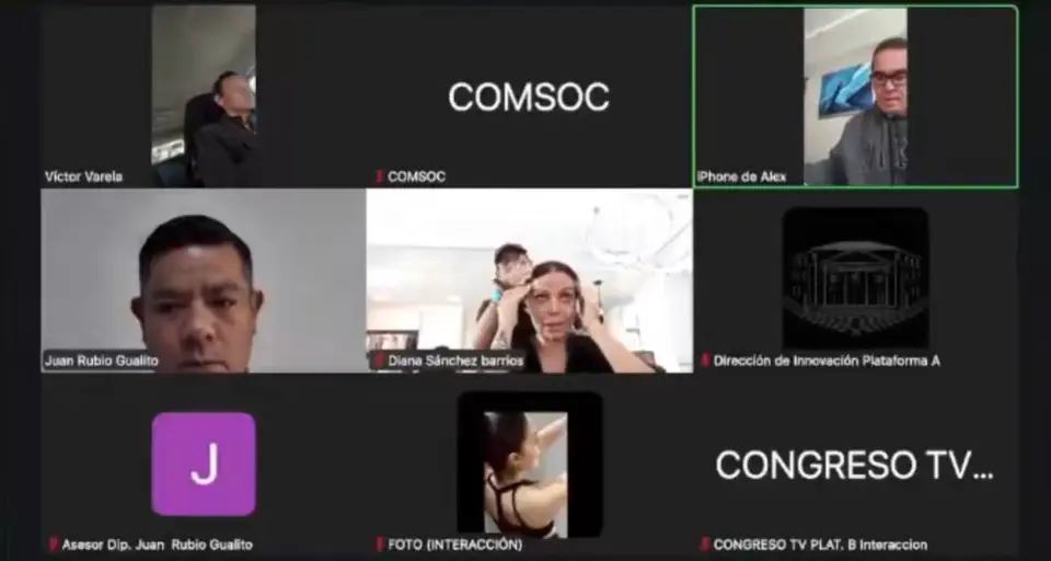 El video de la diputada conectada a una sesión del Congreso desde una estética llamó la atención de usuarios en redes. / X