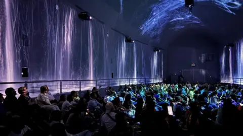 Se trata de una experiencia 360° que envuelve a los visitantes en un viaje sensorial por la vida marina / Especial
