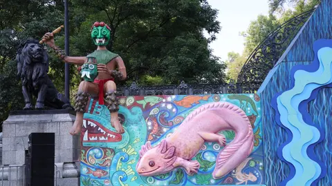 Este proyecto forma parte del Festival del Bosque que ha tenido mucho éxito / Redes Sociales