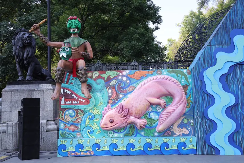Este proyecto forma parte del Festival del Bosque que ha tenido mucho éxito / Redes Sociales