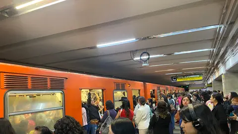 El servicio del Metro presenta demoras constantes que afectan a millones de pasajeros. / Laura Medrano