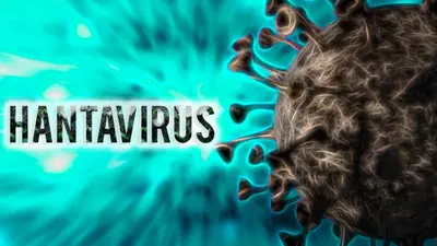 ¿Existe riesgo de pandemia por hantavirus? Esto dicen expertos tras brote en crucero internacional