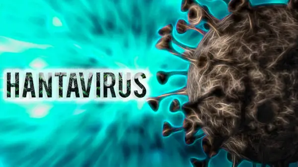 ¿Existe riesgo de pandemia por hantavirus? Esto dicen expertos tras brote en crucero internacional