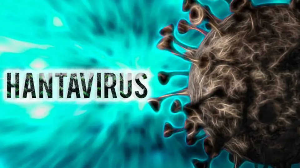 ¿Existe riesgo de pandemia por hantavirus? Esto dicen expertos tras brote en crucero internacional