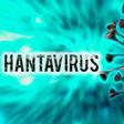 ¿Existe riesgo de pandemia por hantavirus? Esto dicen expertos tras brote en crucero internacional