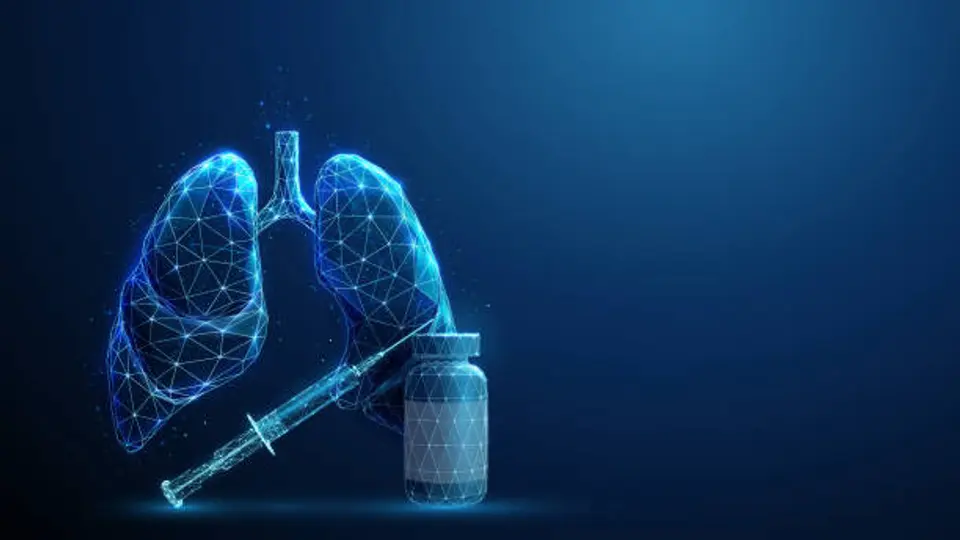No existe una vacuna contra el hantavirus. / iStock