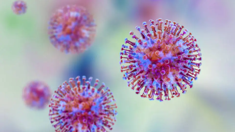 Hantavirus no es COVID-19: estas son las diferencias